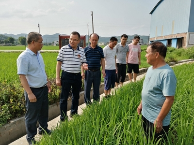 我區啟動全國五星鄉鎮農技推廣機構復核工作，深化農業技術研究與應用